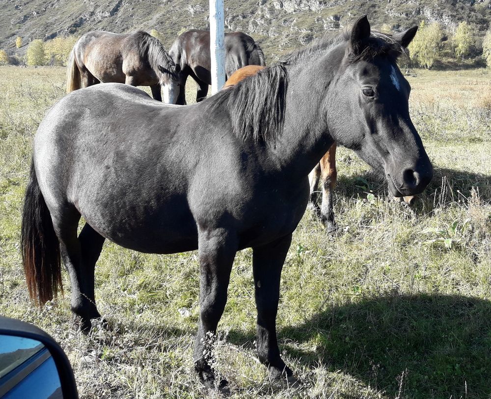 Photograph by Елена Алешкевич