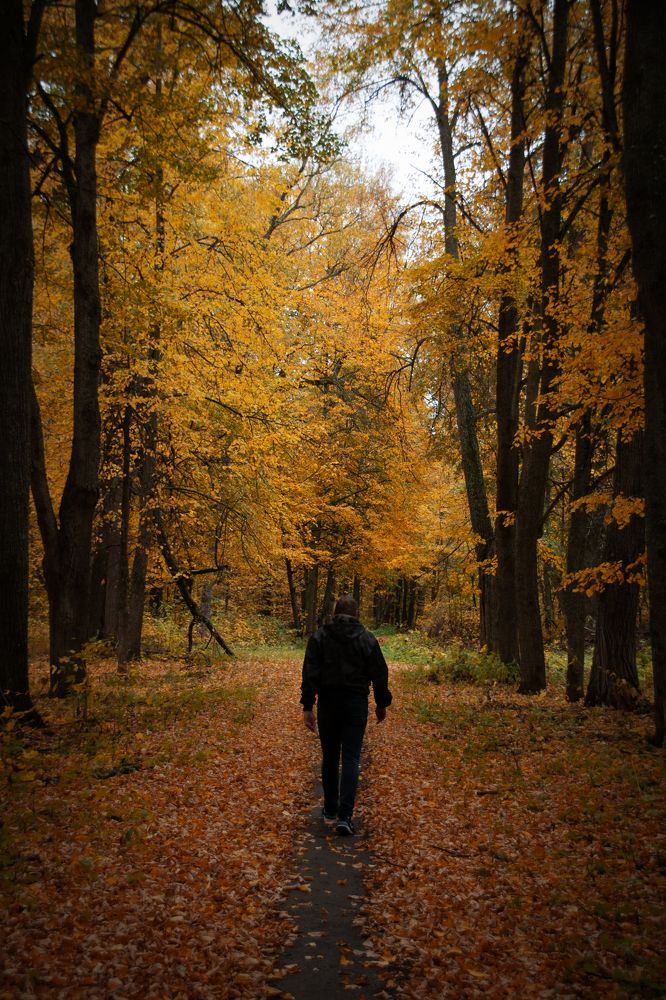 Photograph by Елена Ефимова