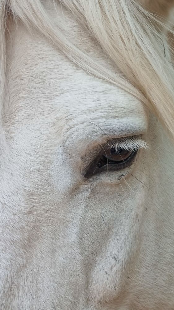 Photograph by Лариса Толкачёва