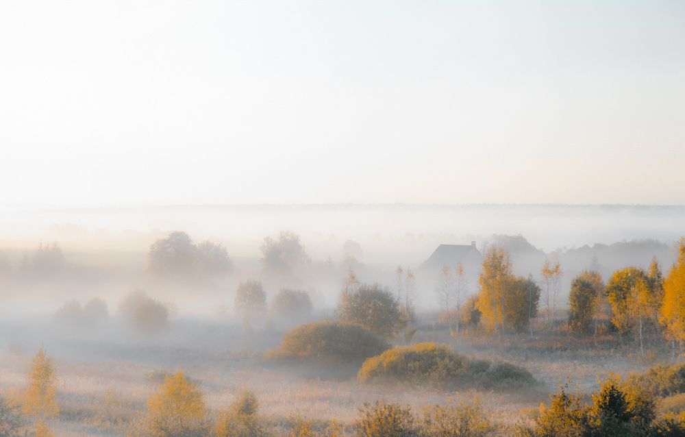 Photograph by andrei zorin