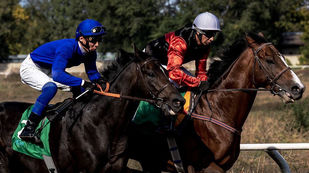 Photograph by Karpenko Denis