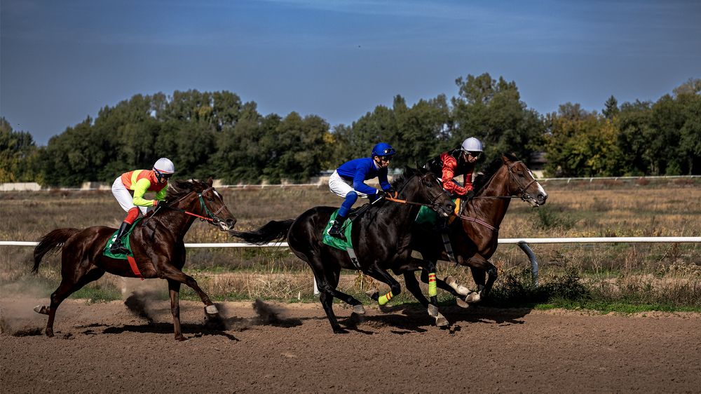 Photograph by Karpenko Denis