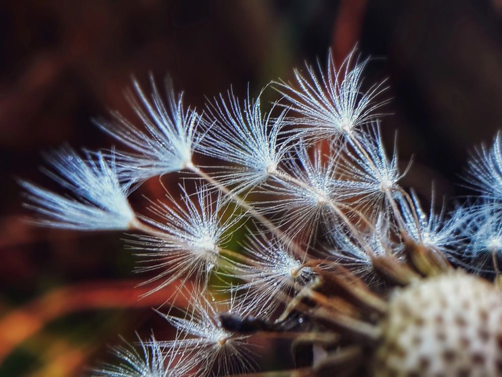 Photograph by Кристина Шляхова