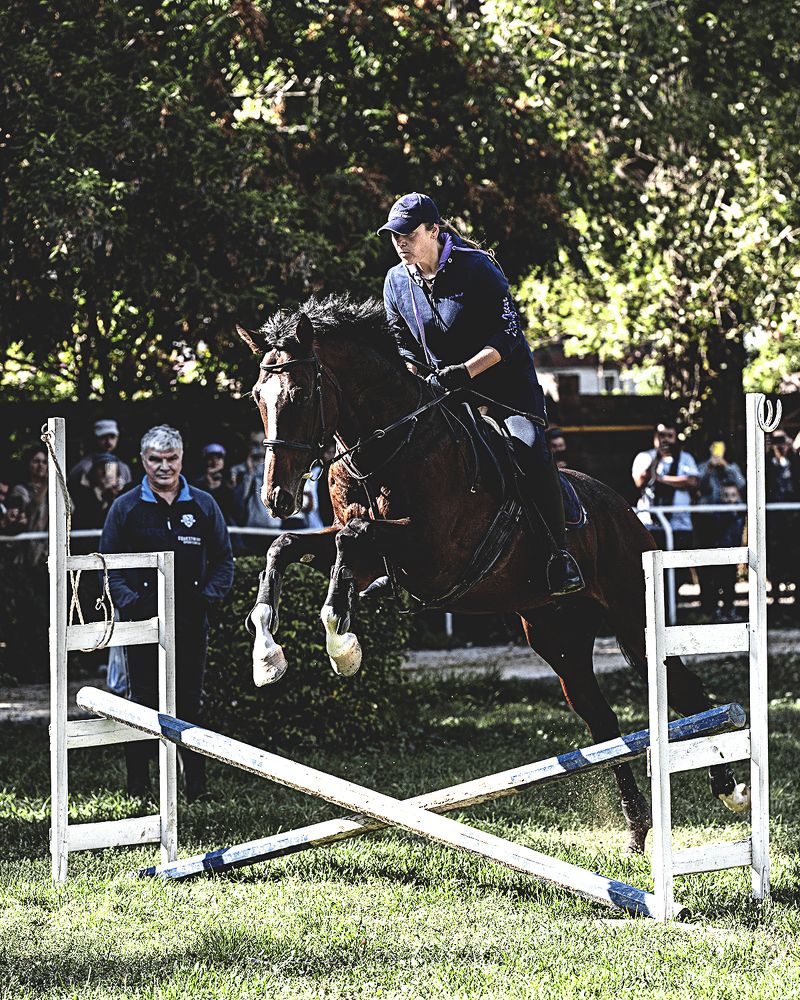 Photograph by Karpenko Denis