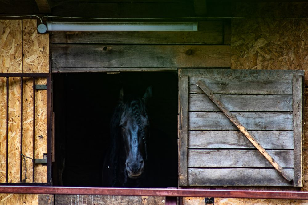 Photograph by Ирина Саломатина