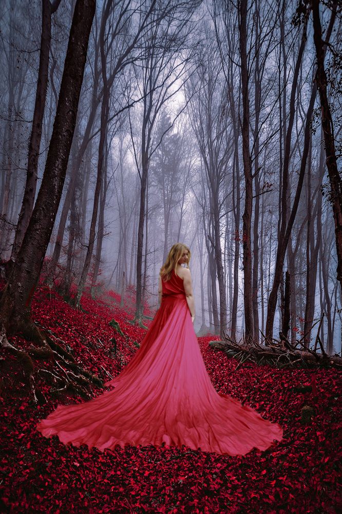 Photograph by Andrew Rybak