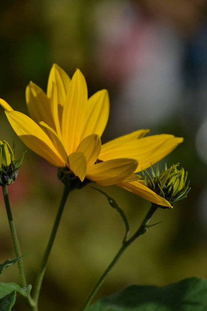 Photograph by Александра