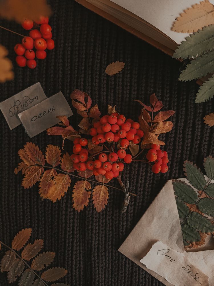 Фотография автора Татьяна Шахова