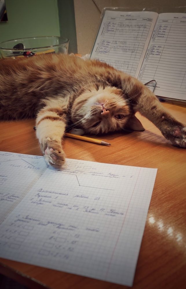 Photograph by Наталья Калюнова