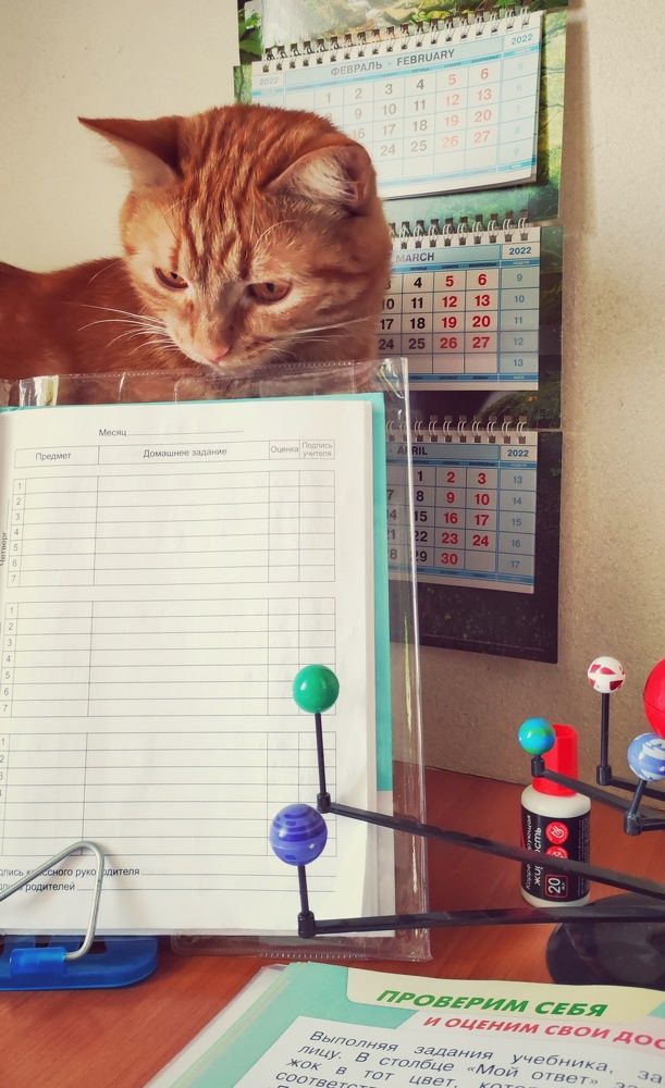 Photograph by Наталья Калюнова