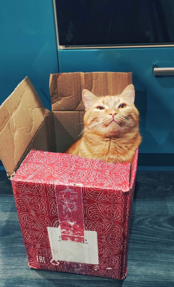 Photograph by Наталья Калюнова