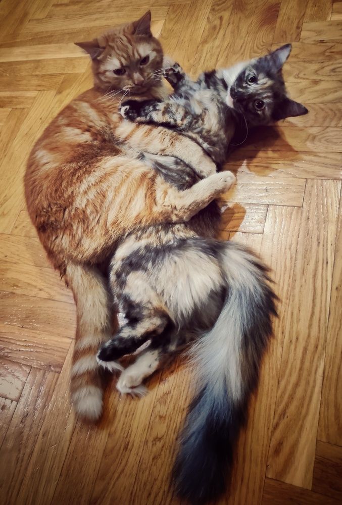 Photograph by Наталья Калюнова