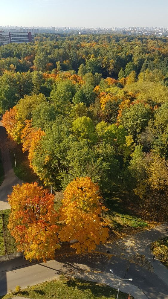 Photograph by Елена Ямнюк