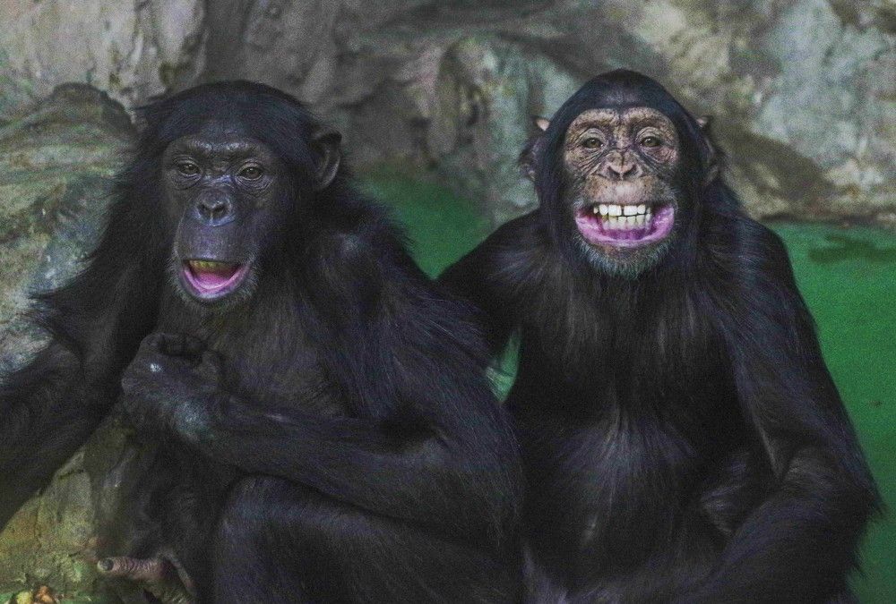 Photograph by Михаил Измайлов