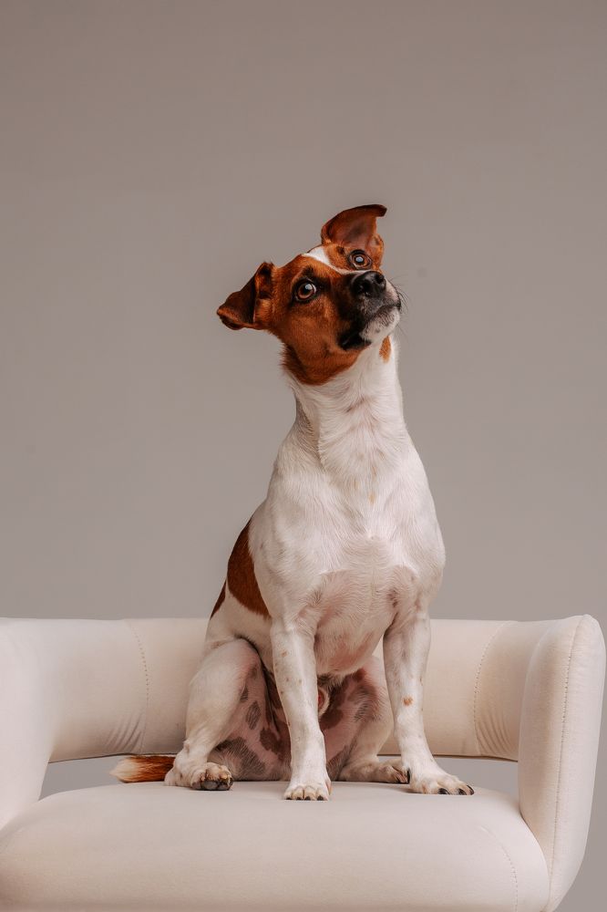 Photograph by Светлана Пудовкина