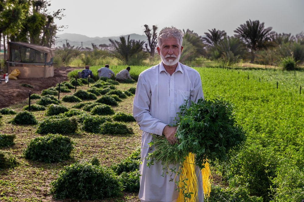 Photograph by Zubair Irshad