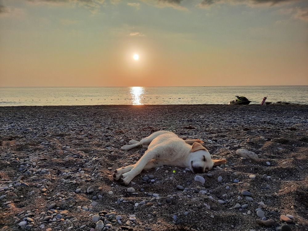 Photograph by Елена Симонова