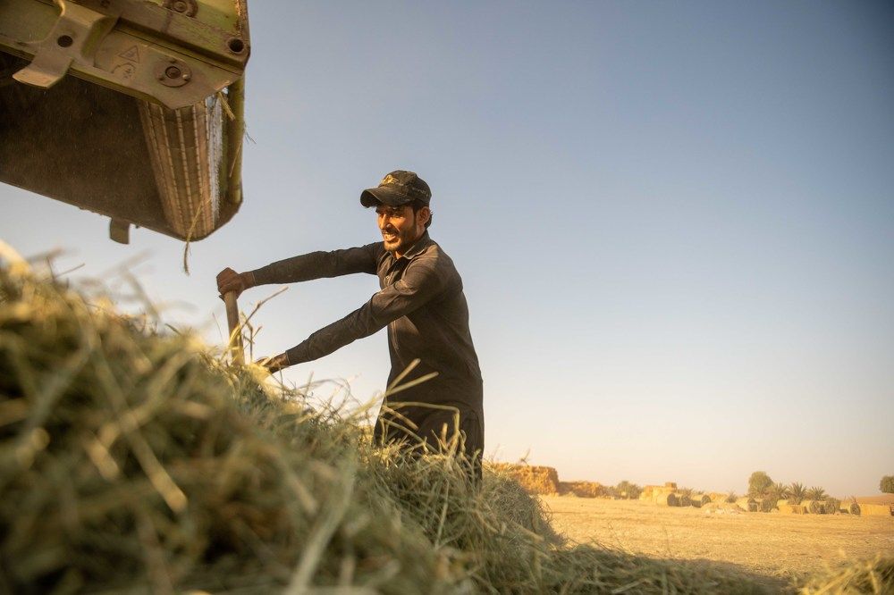 Photograph by Zubair Irshad