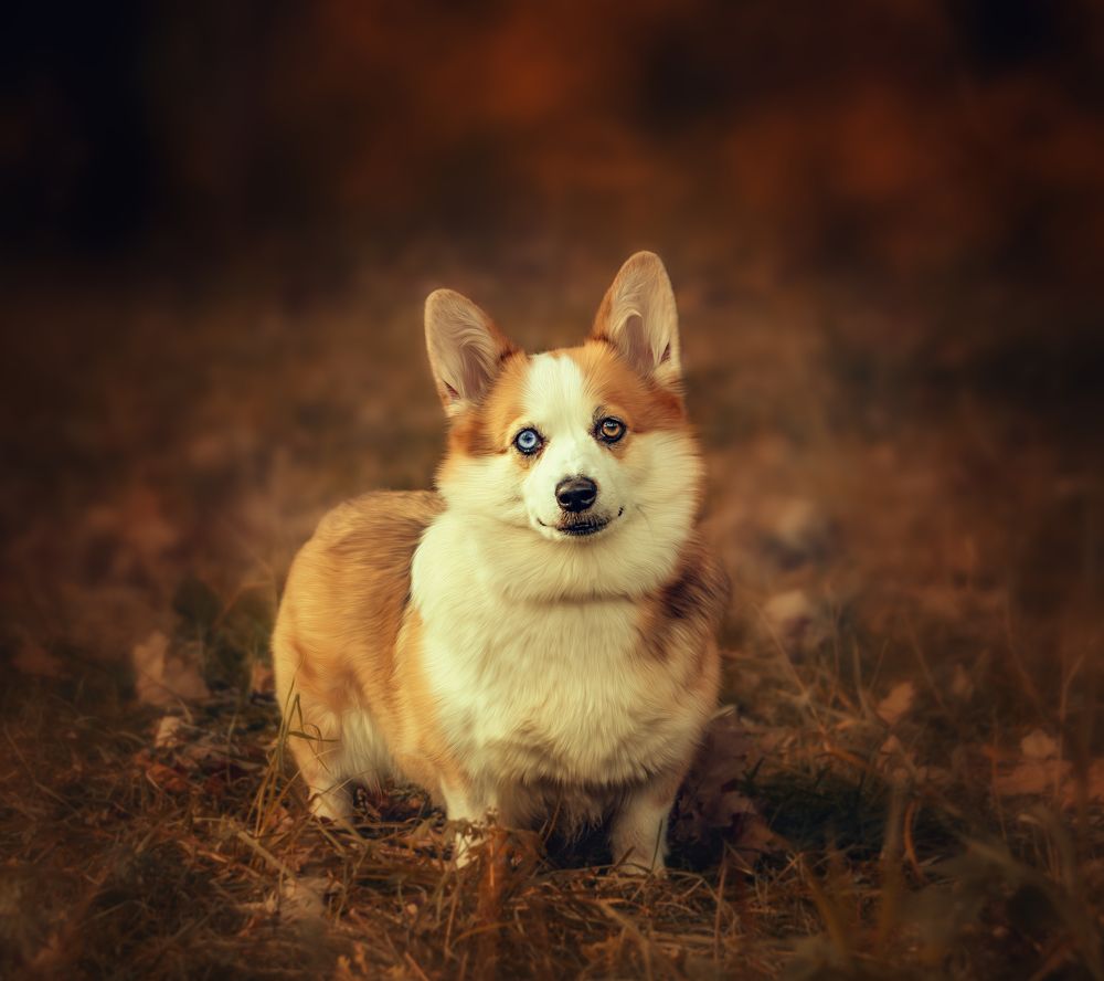 Photograph by Светлана Инькова