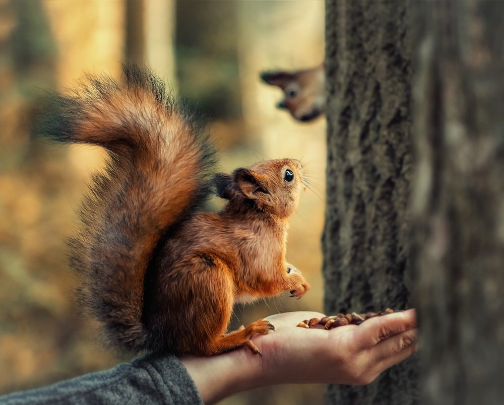 Photograph by Светлана Инькова