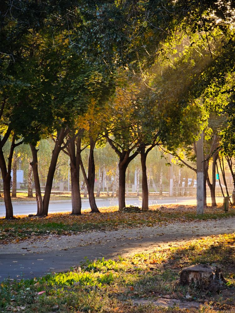 Photograph by Николай Стрельников