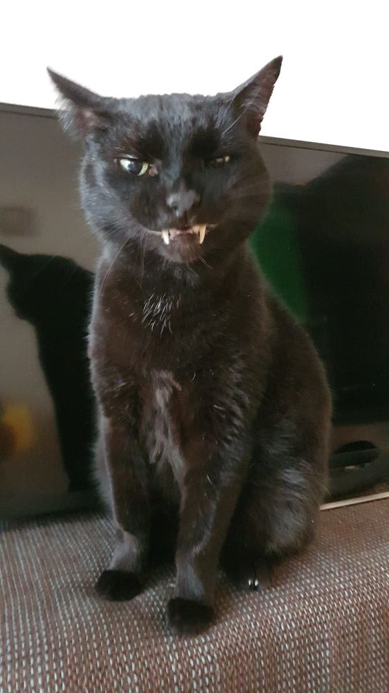 Photograph by Ольга