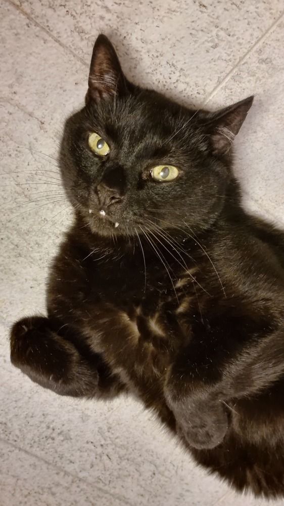 Photograph by Ольга