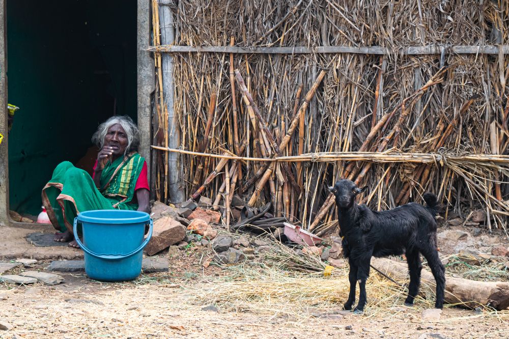 Photograph by Sanket Gudashi