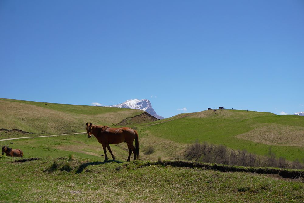 Photograph by Гюзель Даугуль