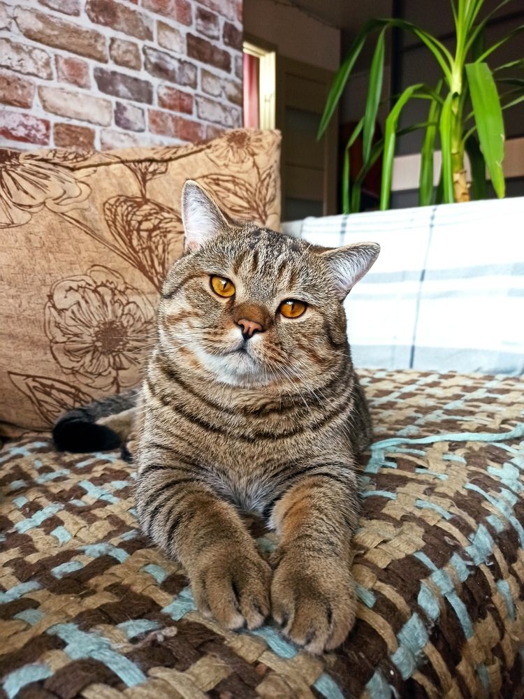 Photograph by Марина Сенгальт