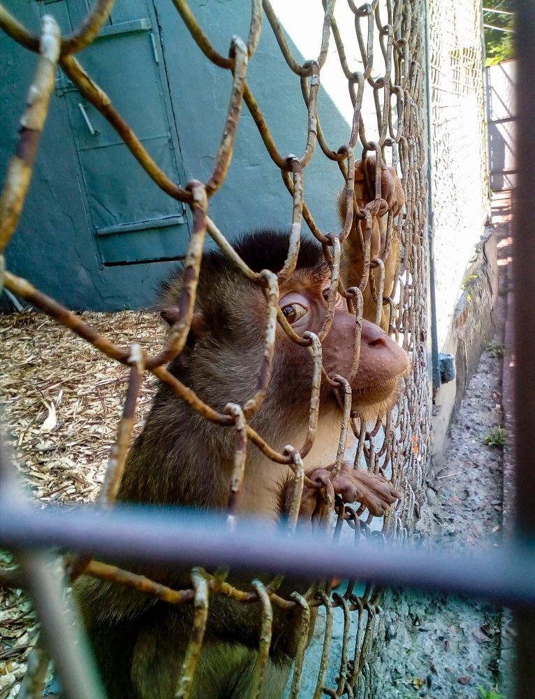 Photograph by Марина Сенгальт