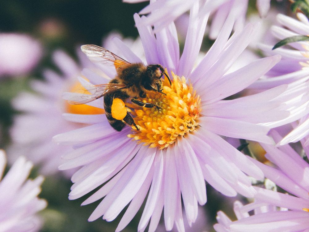 Photograph by Aлександра Чаплыгина