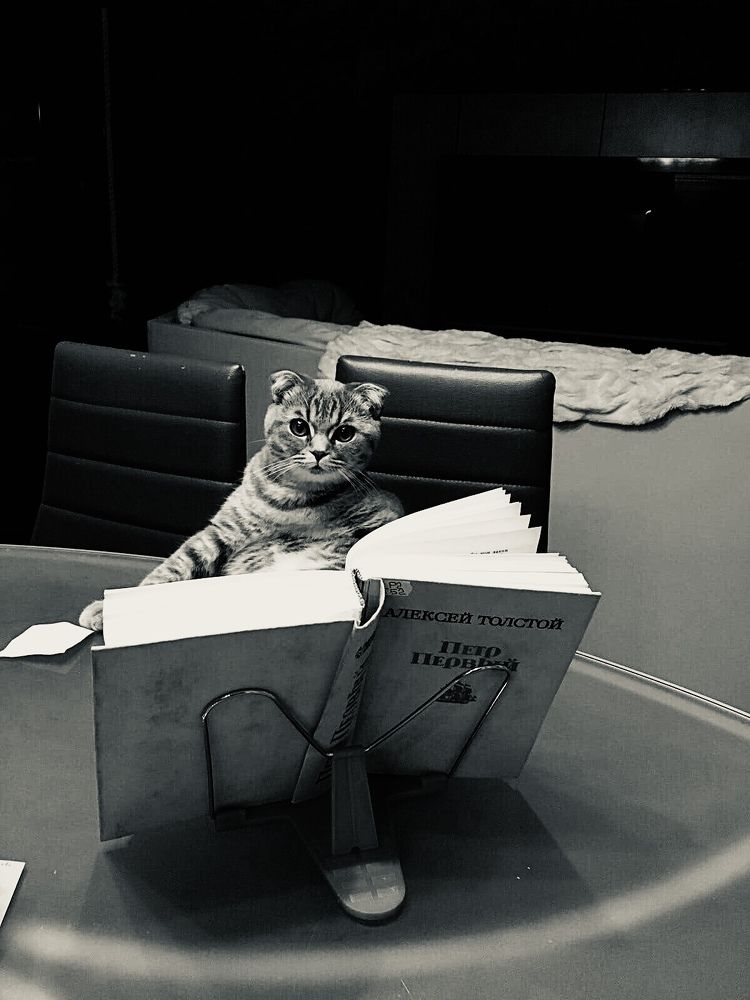 Photograph by Александр