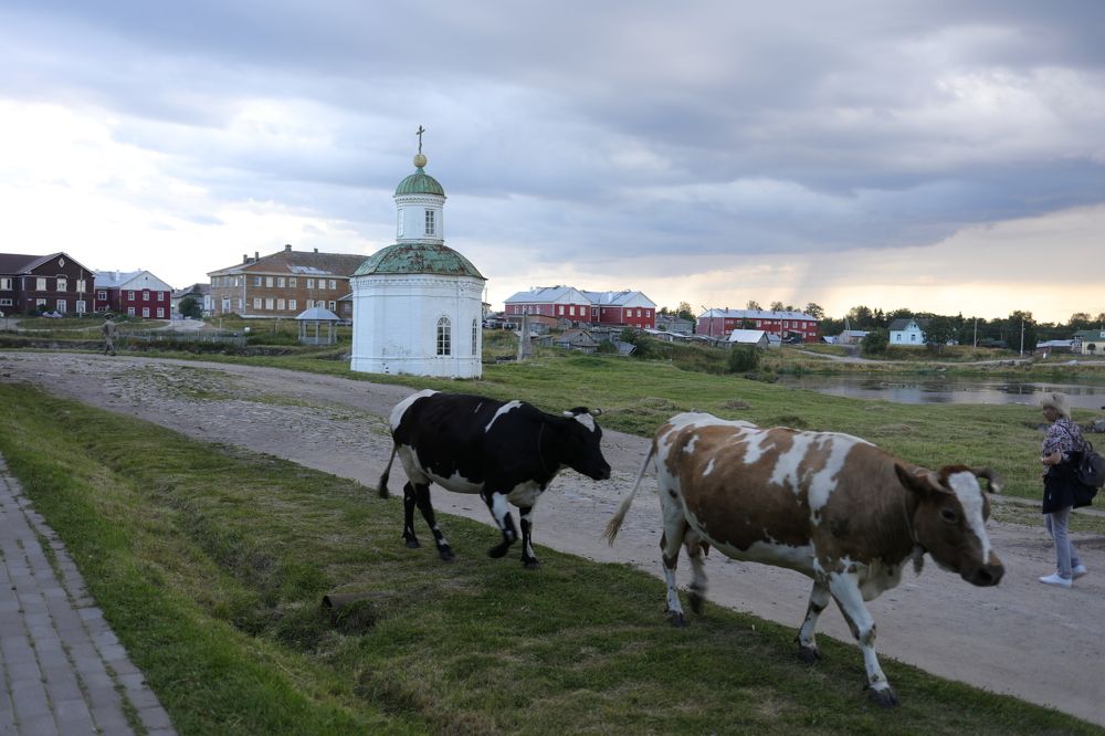 Photograph by Владимир Грибков