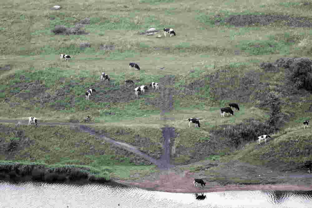 Photograph by Владимир Грибков