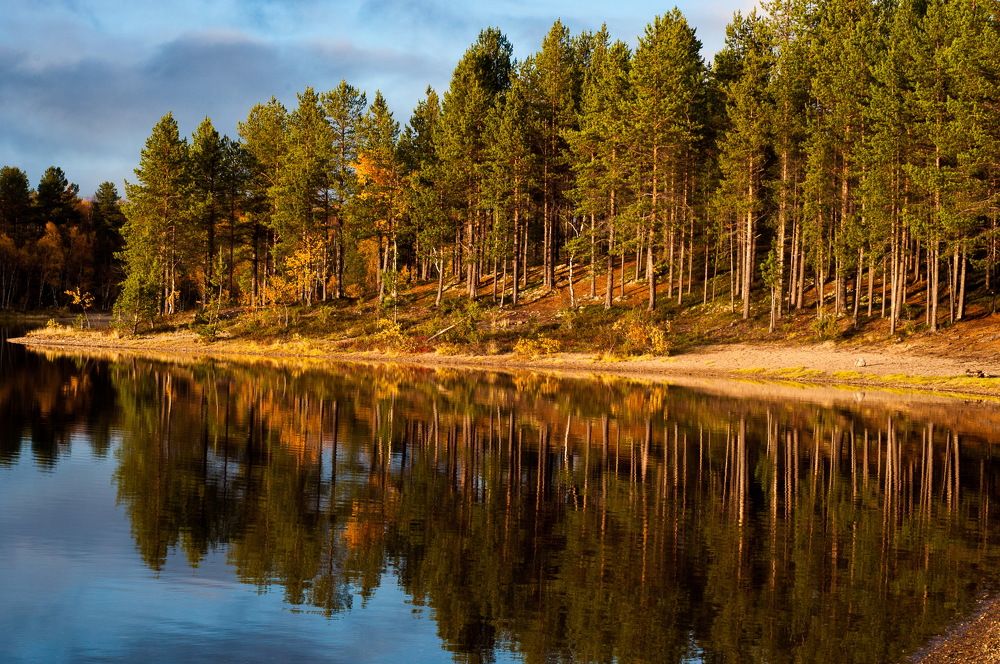 Photograph by Сергей Тютюнник