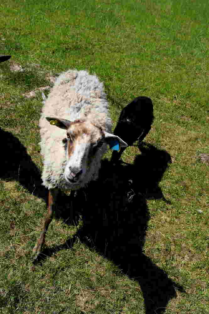 Photograph by Владимир Грибков