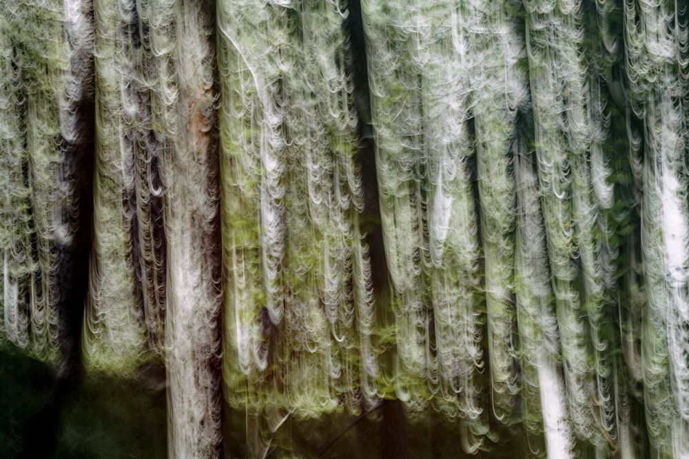 Фотография автора Martineb