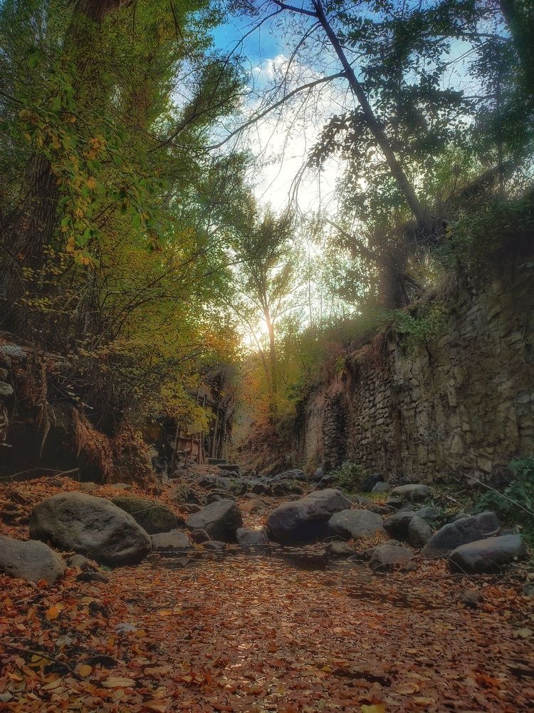 Photograph by ali asghar ahngari