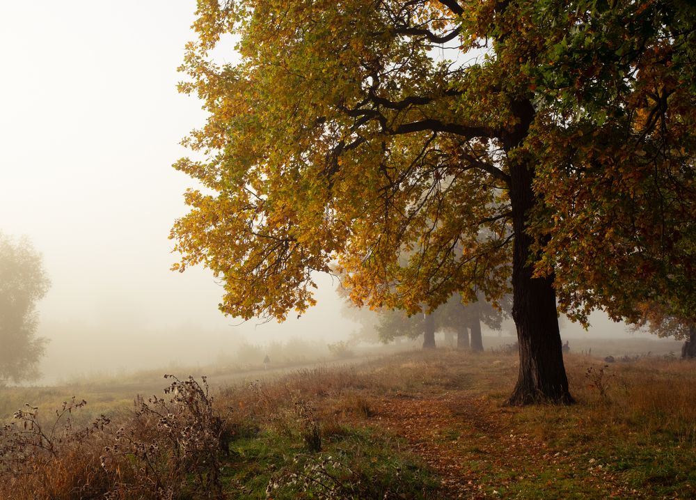 Photograph by Артём Аниськин