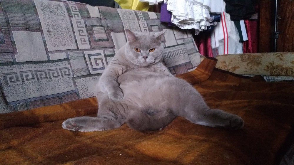 Фотография автора Геннадий Коробов