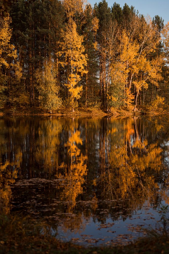 Photograph by Олеся Владимирова