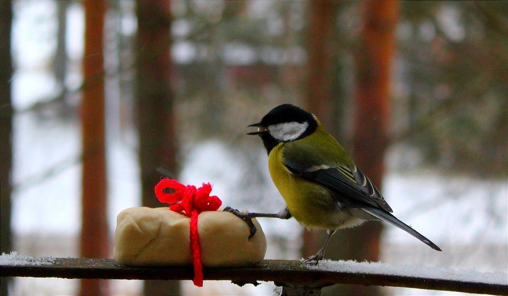 Photograph by Юлия Иванова