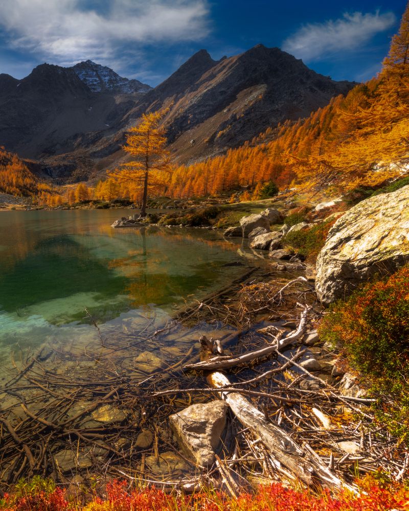 Photograph by Matteo Martin