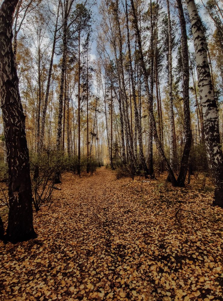 Photograph by Влад Богаткин