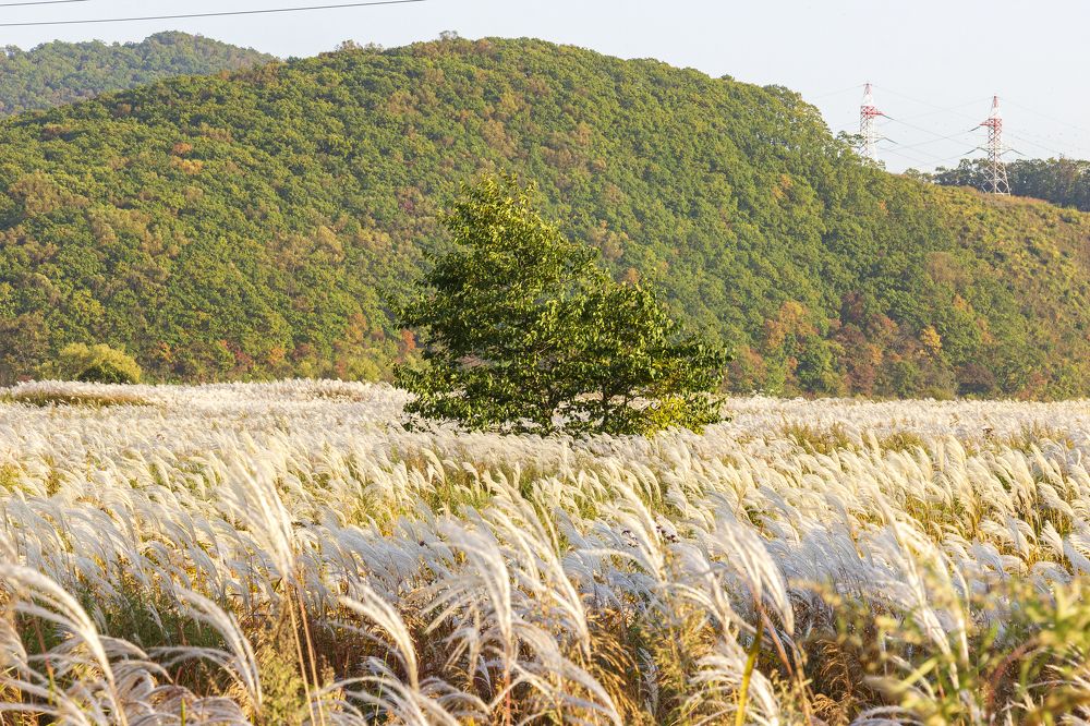 Photograph by Sergey Tsubanov