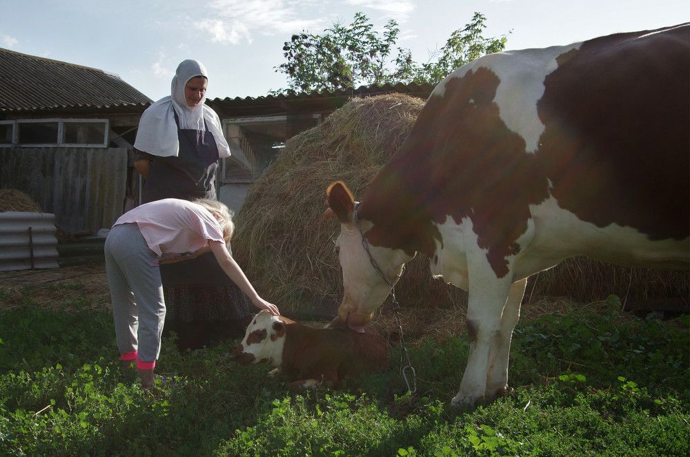 Photograph by Александр Кравченко