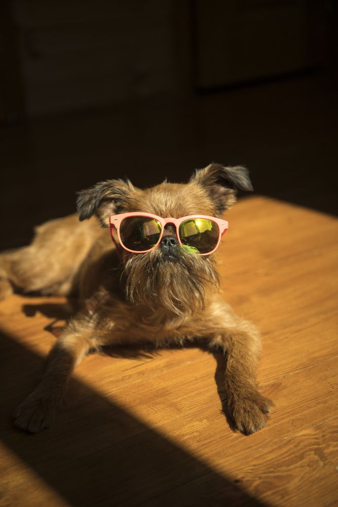 Photograph by Светлана Ермакова