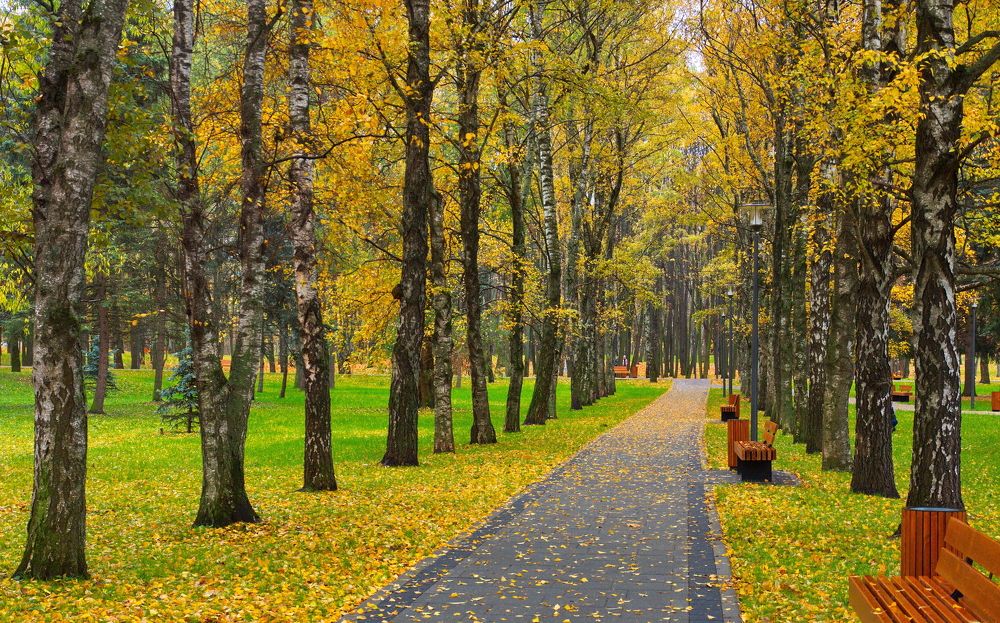 Photograph by Геннадий Лосев