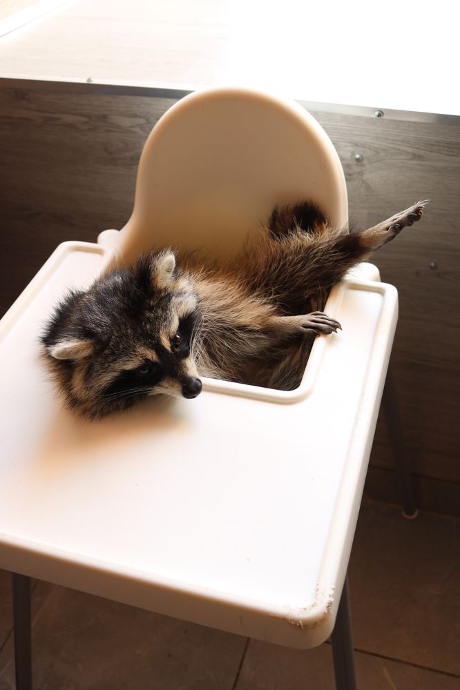 Photograph by Светлана Шуткова